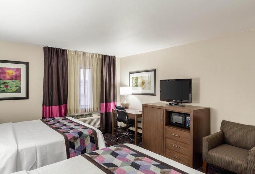 اتاق استاندارد, Comfort Inn Midtown
