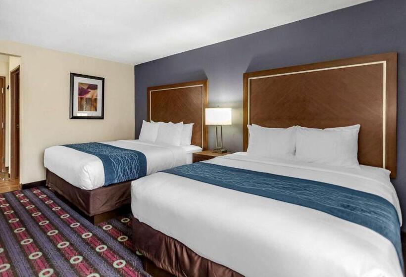 اتاق استاندارد, Comfort Inn Midtown