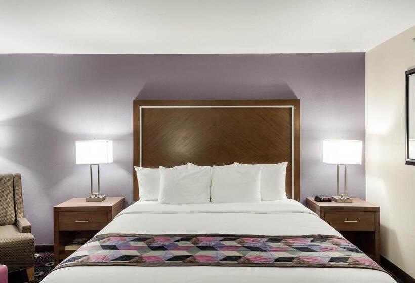 سوئیت با تخت بزرگ, Comfort Inn Midtown