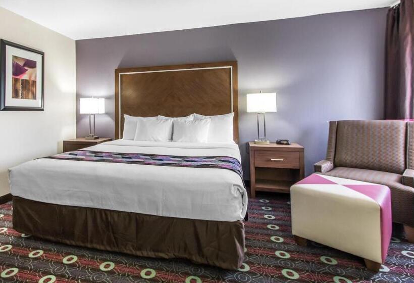 سوئیت با تخت بزرگ, Comfort Inn Midtown