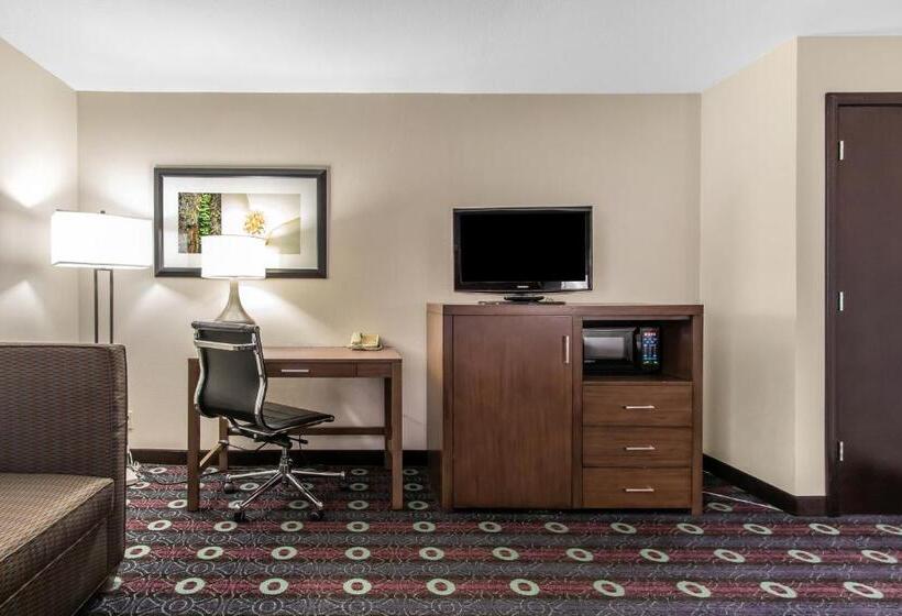 سوئیت با تخت بزرگ, Comfort Inn Midtown