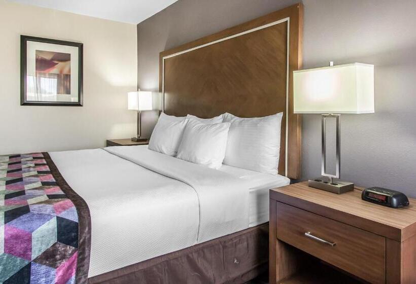 سوئیت با تخت بزرگ, Comfort Inn Midtown