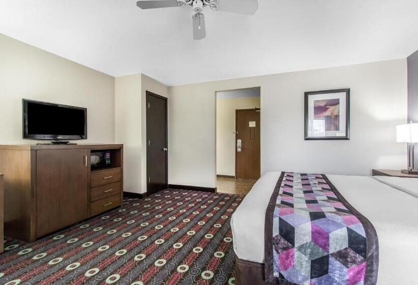 سوئیت با تخت بزرگ, Comfort Inn Midtown