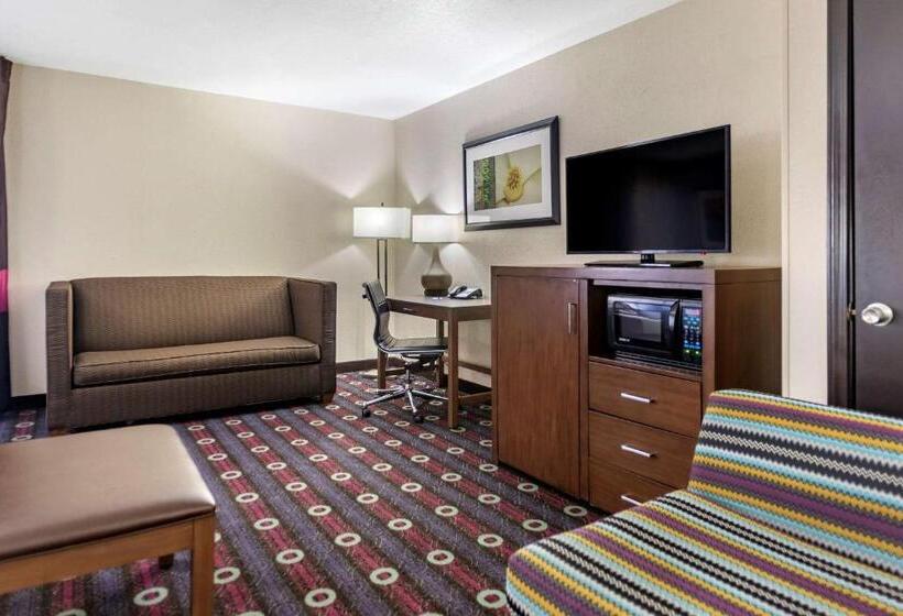 سوئیت با تخت بزرگ, Comfort Inn Midtown
