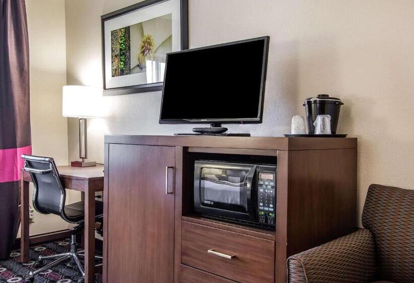 اتاق استاندارد برای معلولان, Comfort Inn Midtown
