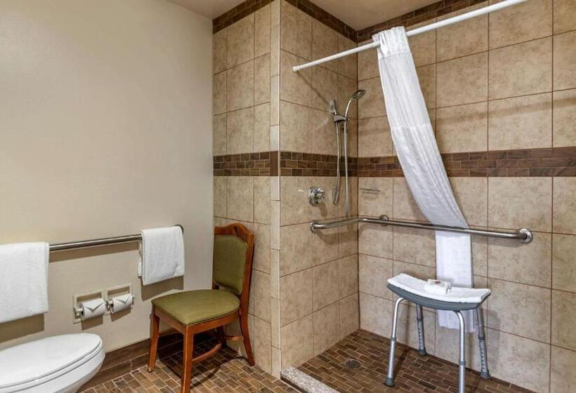 اتاق استاندارد برای معلولان, Comfort Inn Midtown
