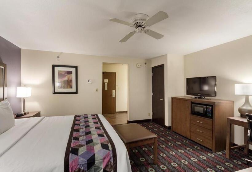 اتاق استاندارد با تخت بزرگ, Comfort Inn Midtown