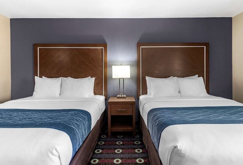 اتاق استاندارد با 2 تخت دوبل, Comfort Inn Midtown