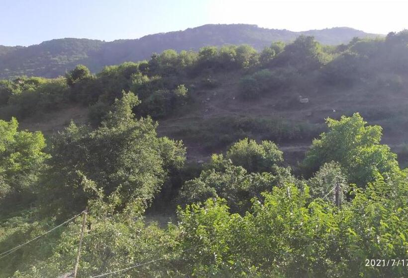 اتاق استاندارد با چشم‌انداز کوهستان, Verishen Guest House B&b