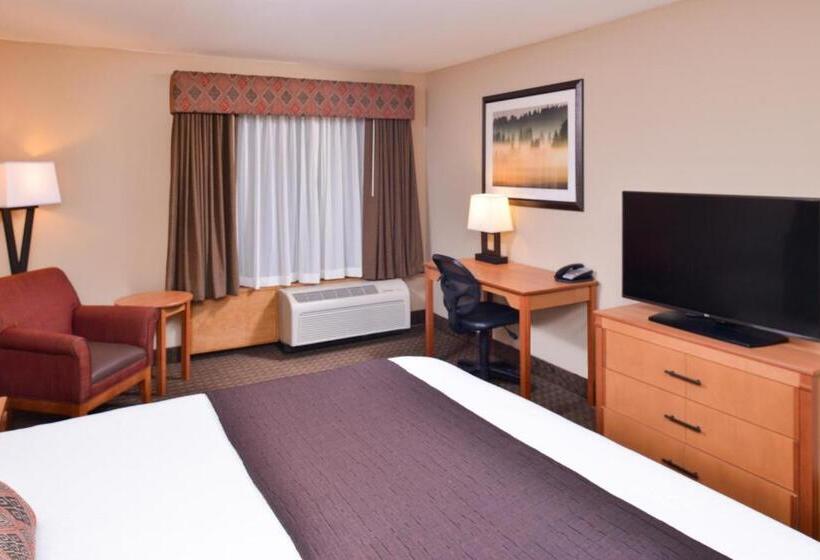 Стандартный Номер Кровать Кинг, Best Western Plus Olympic Inn