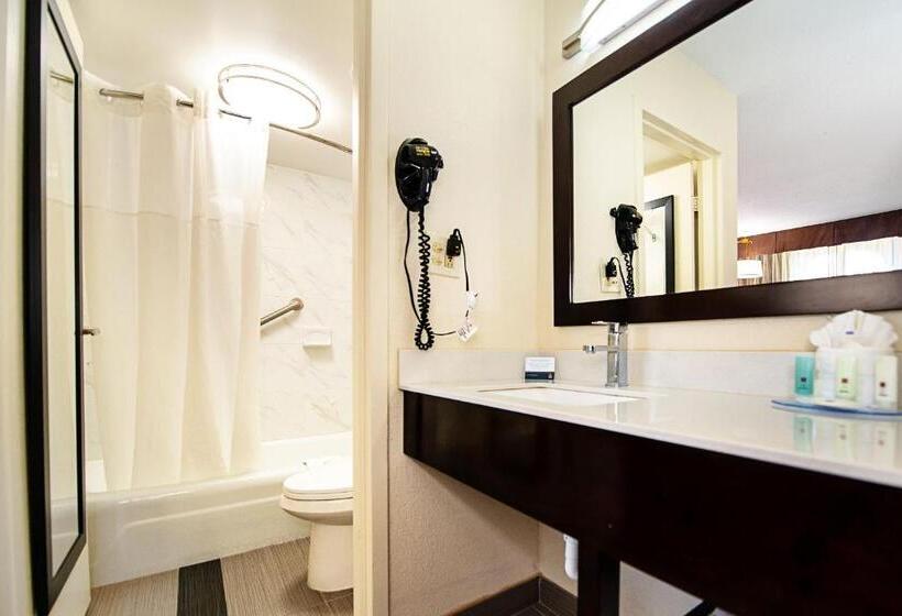 스탠다드 룸, New Hope Inn & Suites