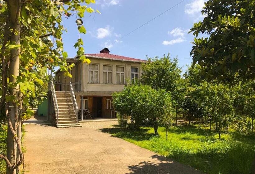 اتاق اکونومی, Dea