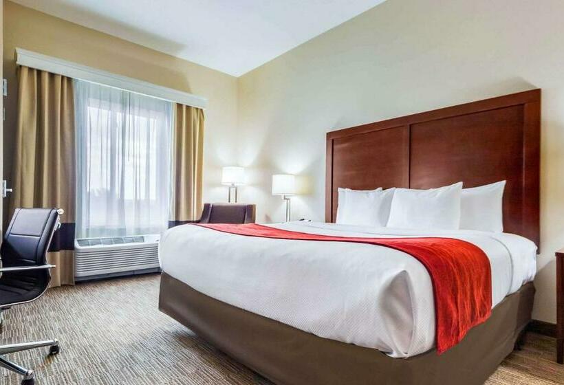 适合残疾人使用的标准间, Comfort Inn & Suites North Platte I80