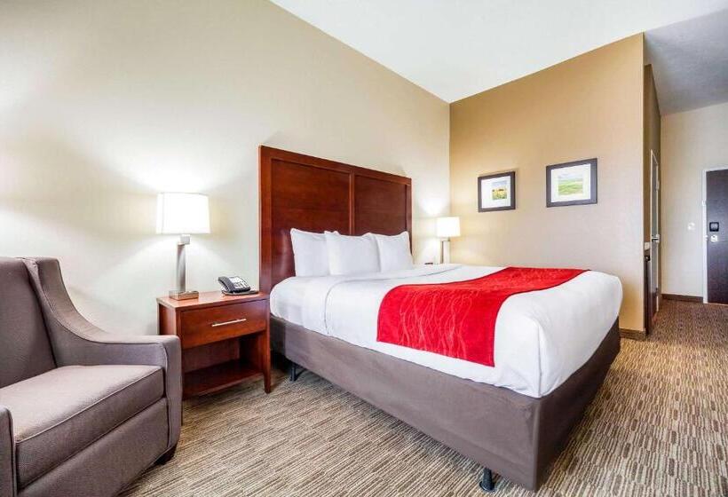 适合残疾人使用的标准间, Comfort Inn & Suites North Platte I80
