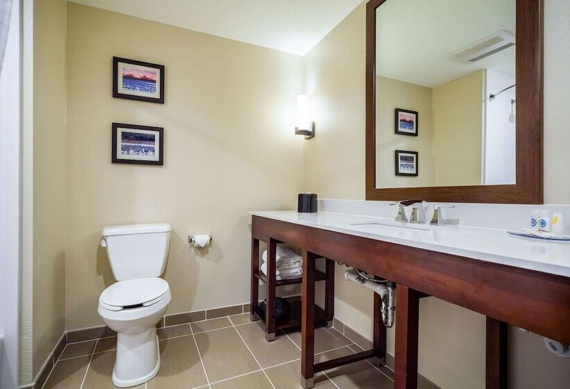 适合残疾人士使用的套间, Comfort Inn & Suites North Platte I80