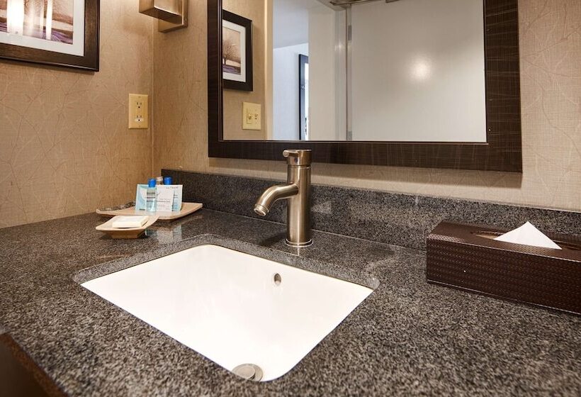 Номер Стандарт 2 Двуспальные Кровати, Best Western Plus Roswell/alpharetta