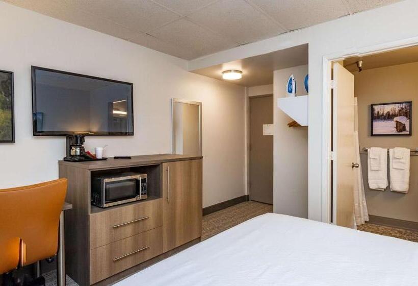 Номер Стандарт, Bridgewater Hotel, Trademark Collection By Wyndham