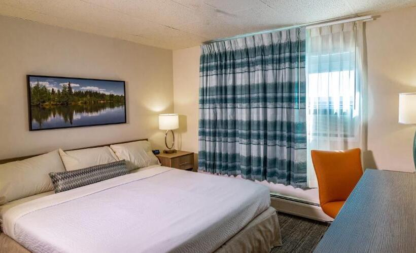 장애인을 위한 스탠다드 룸, Bridgewater Hotel, Trademark Collection By Wyndham