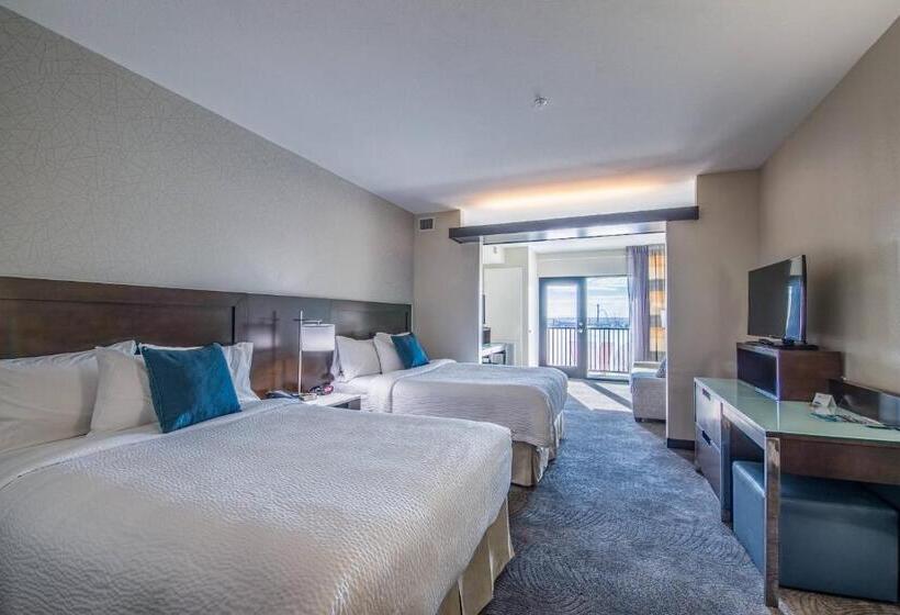 Люкс, Fairfield Inn & Suites By Marriott Denver Downtown
