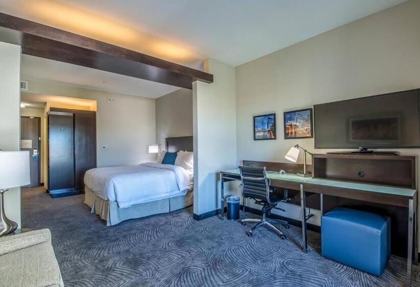 سوییت اجرایی, Fairfield Inn & Suites By Marriott Denver Downtown