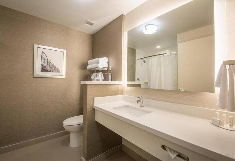 Президентский Люкс, Fairfield Inn & Suites By Marriott Denver Downtown