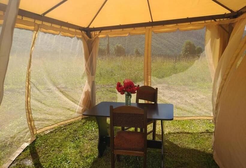 اتاق استاندارد, Guest House Guli