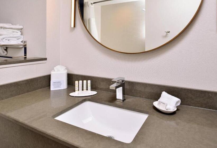 Люкс, Fairfield Inn & Suites By Marriott Canton