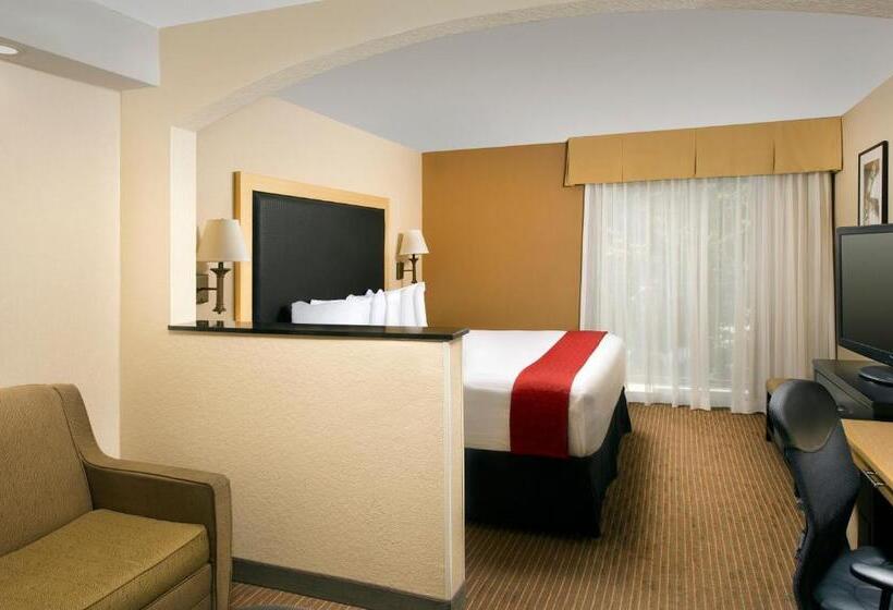 适合残疾人士使用的套间, Best Western Alamo Suites Downtown