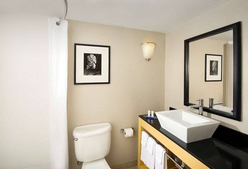 适合残疾人士使用的套间, Best Western Alamo Suites Downtown