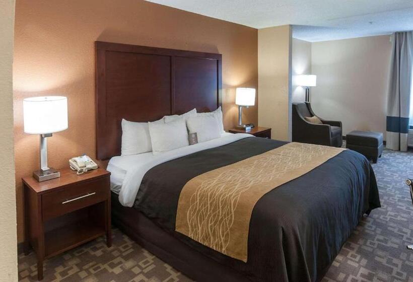 Стандартный Номер Кровать Кинг, Comfort Inn North Conroe
