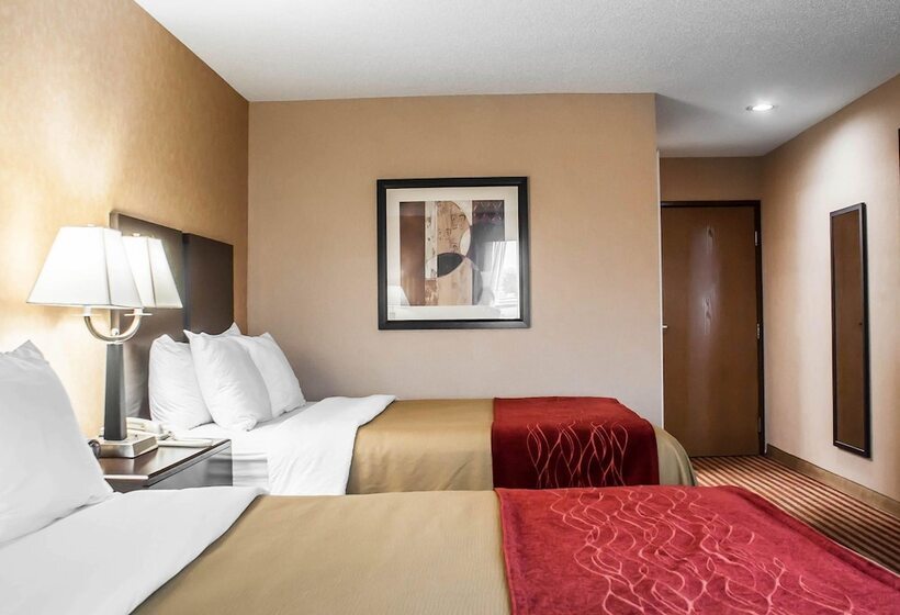 스탠다드 룸 더블 침대 2개, Quality Inn