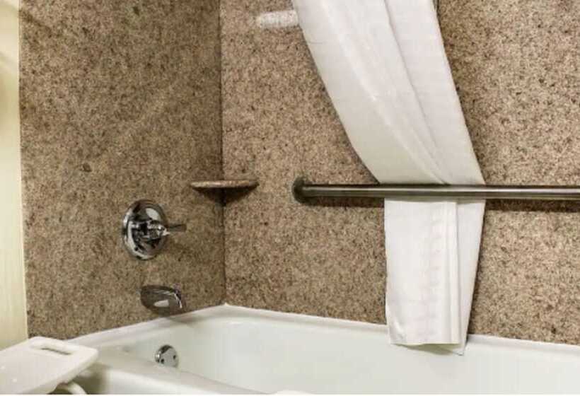 Номер Стандарт 2 Двуспальные Кровати, Quality Inn