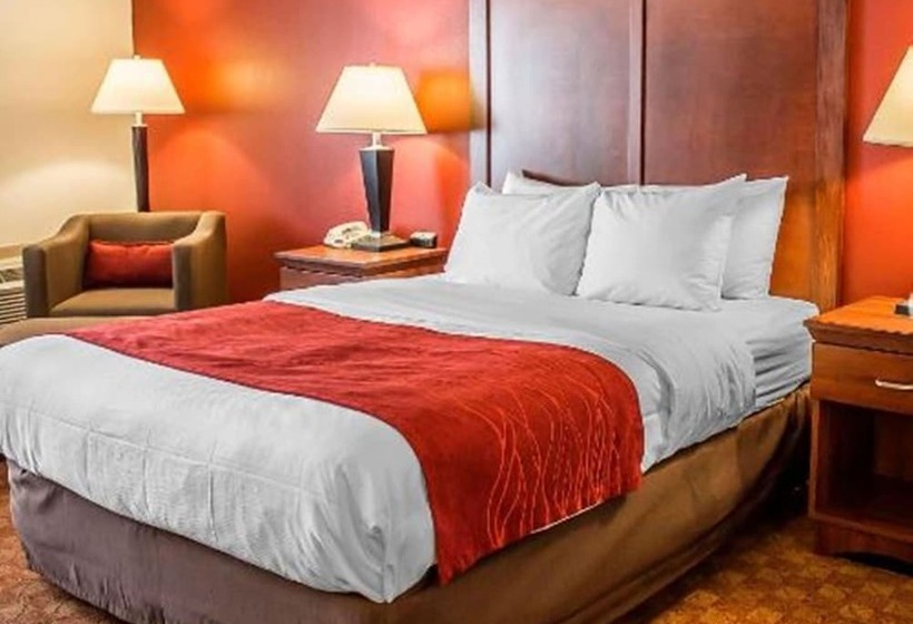 Номер Стандарт 2 Двуспальные Кровати, Quality Inn