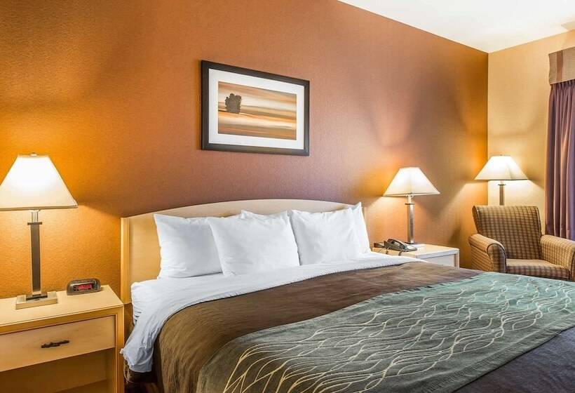 Люкс, Quality Inn & Suites Loveland