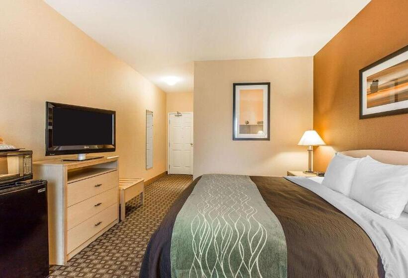 اتاق استاندارد با تخت بزرگ, Quality Inn & Suites Loveland
