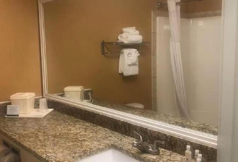 اتاق استاندارد, Quality Inn & Suites Loveland