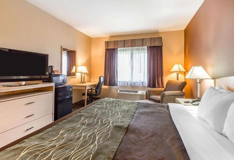 سوئیت با تخت بزرگ, Quality Inn & Suites Loveland