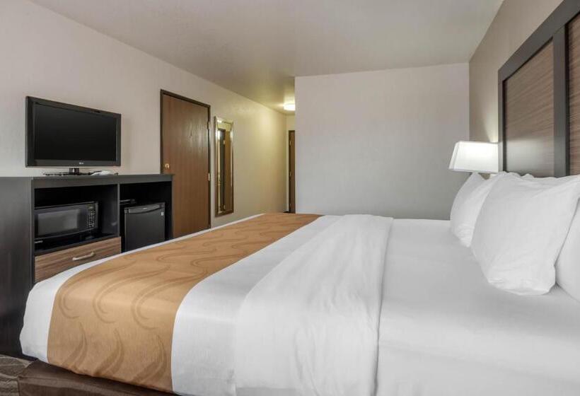 Номер Стандарт Кровать Кинг Адаптированный для Инвалидов, Quality Inn & Suites
