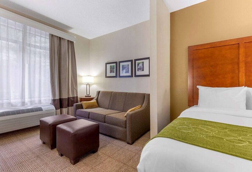 Люкс, Comfort Suites Boone  University Area