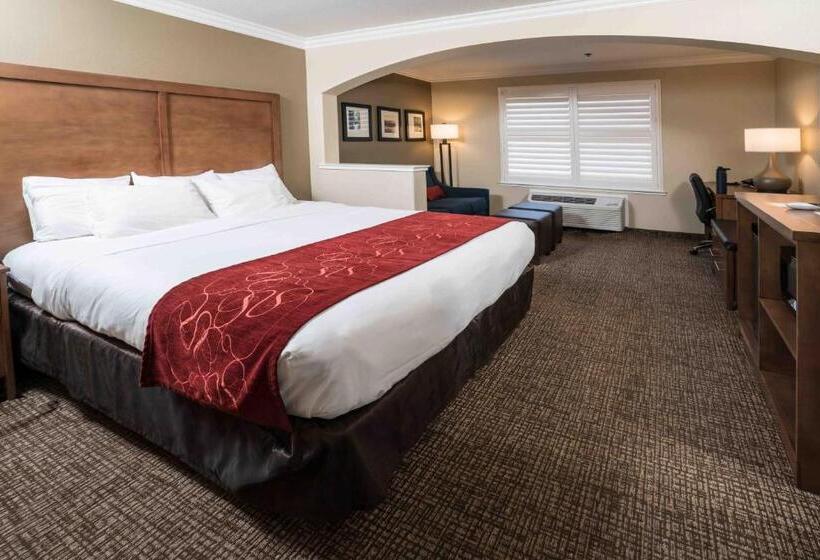 Люкс Адаптированный для Инвалидов, Comfort Suites Fresno River Park