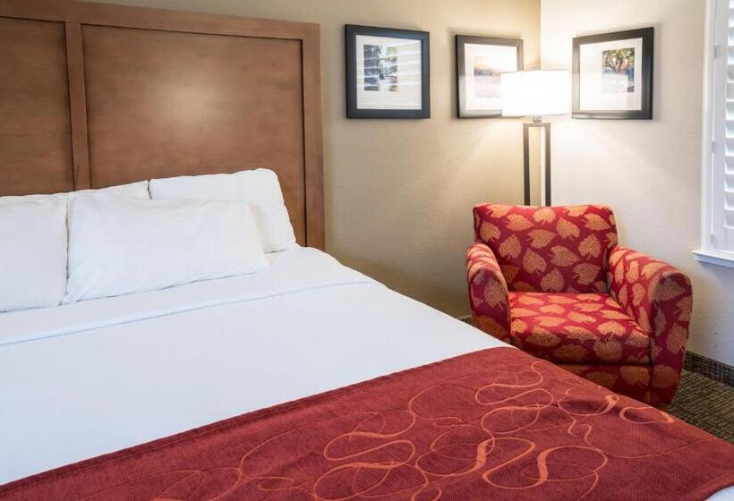 Номер Стандарт Кровать Кинг Адаптированный для Инвалидов, Comfort Suites Fresno River Park