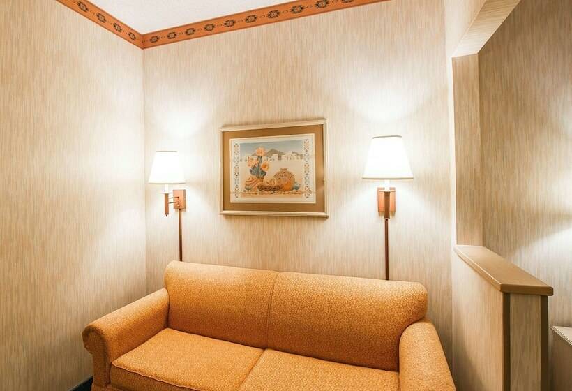 Люкс, Comfort Suites Peoria Sports Complex