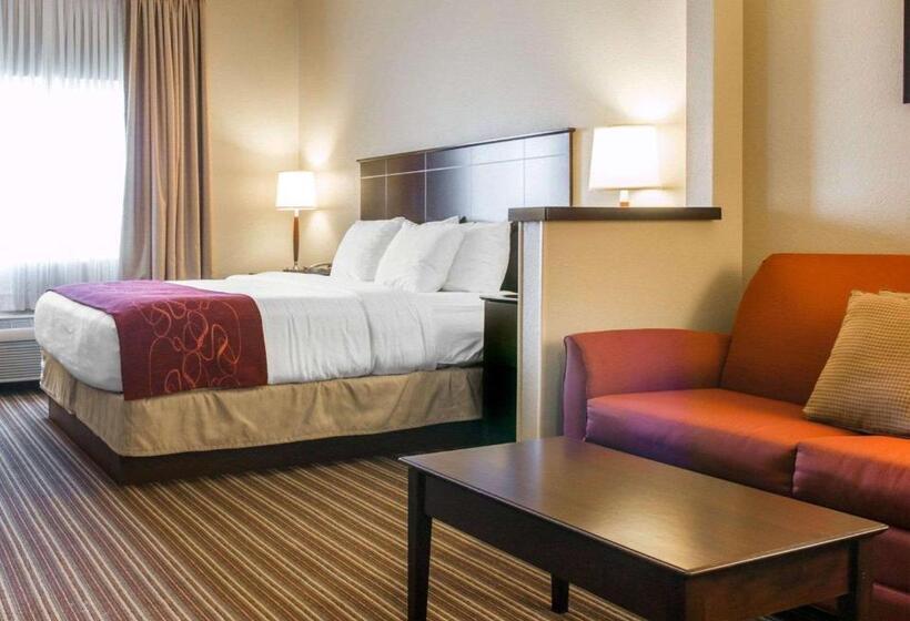 带大床的套房, Comfort Suites Saginaw