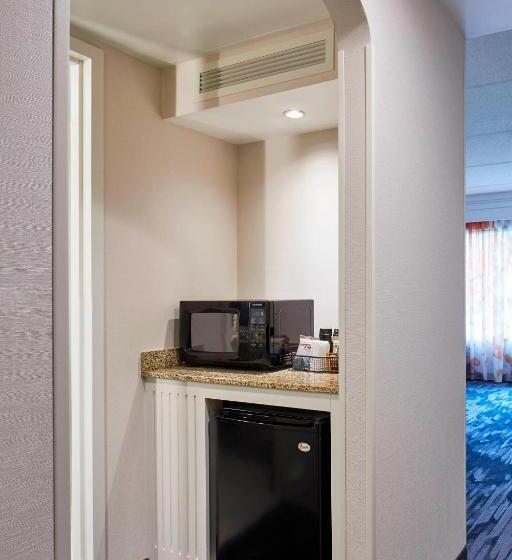 Стандартный Номер Кровать Кинг, Fairfield Inn & Suites By Marriott Albany Airport