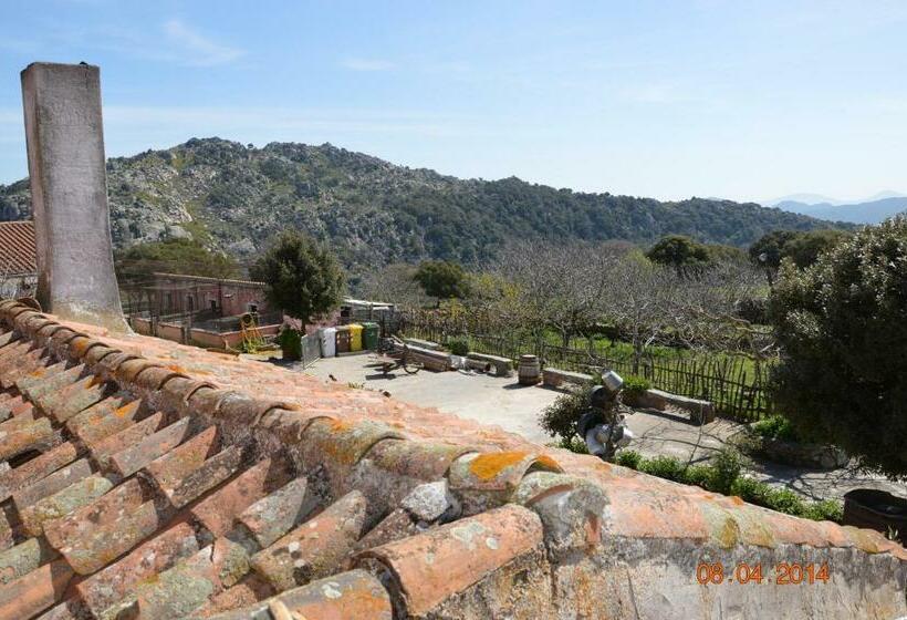اتاق استاندارد با چشم‌انداز باغ, Agriturismo Costiolu