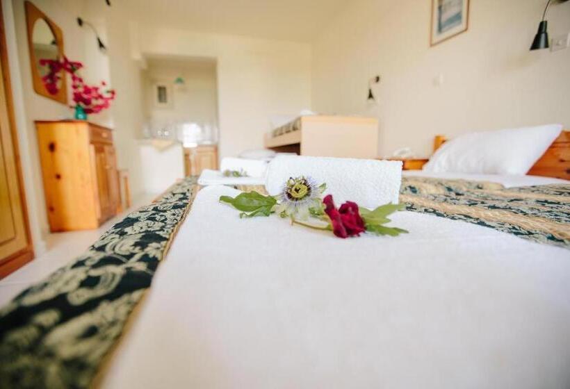 スタンダード４人部屋, Avra Sea View Paradise Pool Apartments