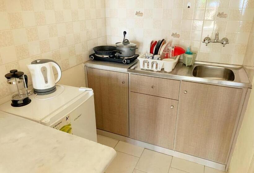 Четырехместный Номер Стандарт, Avra Sea View Paradise Pool Apartments