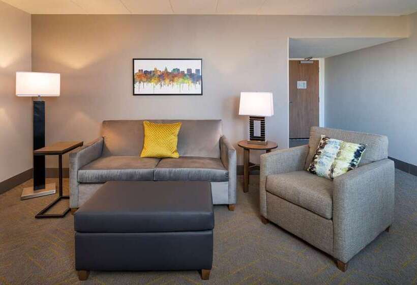 استودیو استاندارد با تخت کینگ, Home2 Suites By Hilton Charlotte Uptown, Nc