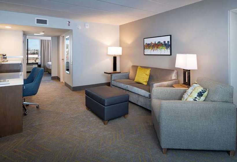 استودیو استاندارد با تخت کینگ, Home2 Suites By Hilton Charlotte Uptown, Nc