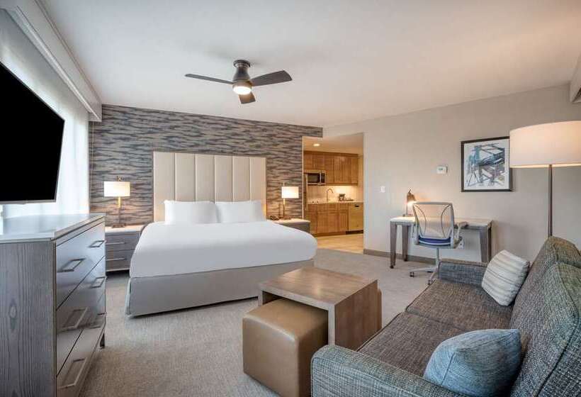 استودیو استاندارد با تخت کینگ, Home2 Suites By Hilton Charlotte Uptown, Nc
